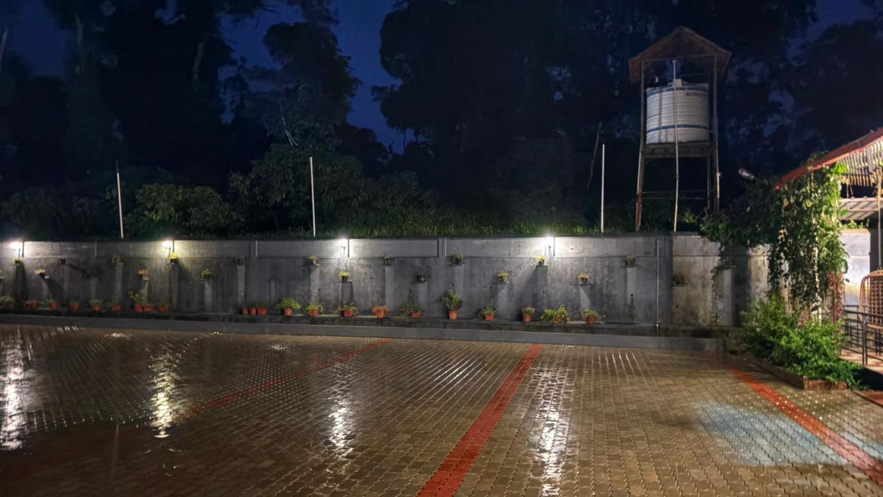Garden area